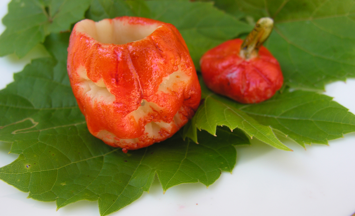 Pumpkin marzipan