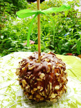 Chocolate Apple Treats