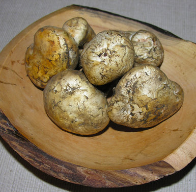 Mystic Mushroom Paella