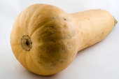 Roasted Butternut Squash with onions and cranberries