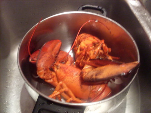 Lobster Pasta Greek Style "Astakomakaronada"