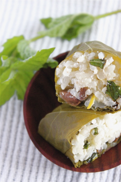 Grape leaves with goat cheese, olives, raisins, and mint