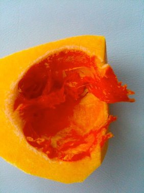 Squash