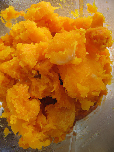 Butternut squash cake