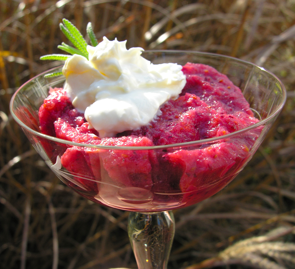 Cranberry-orange-pear frozen delight with a cosmo option