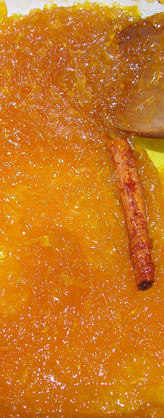 Pumpkin glory with lemon zest cheesecake