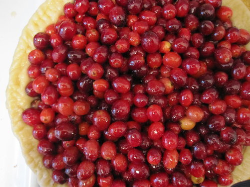 Cranberry Hazelnut Pie