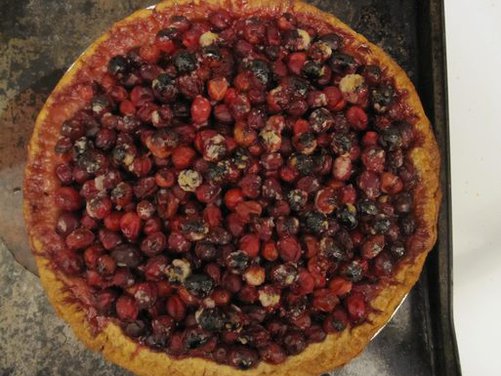 Cranberry Hazelnut Pie