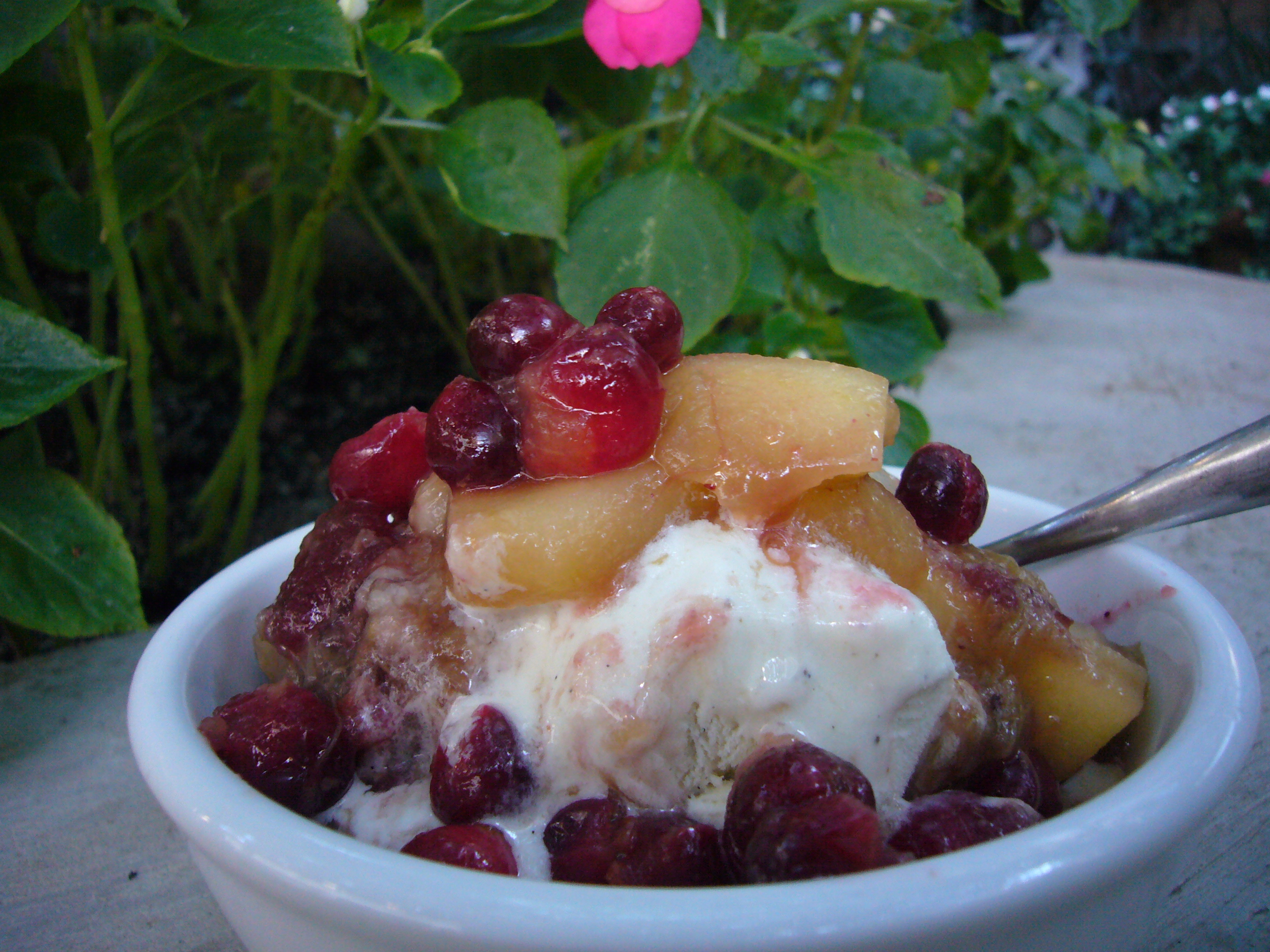 Rhubarb Cranberry Compote with Apples, Pears and a splash of Bitters