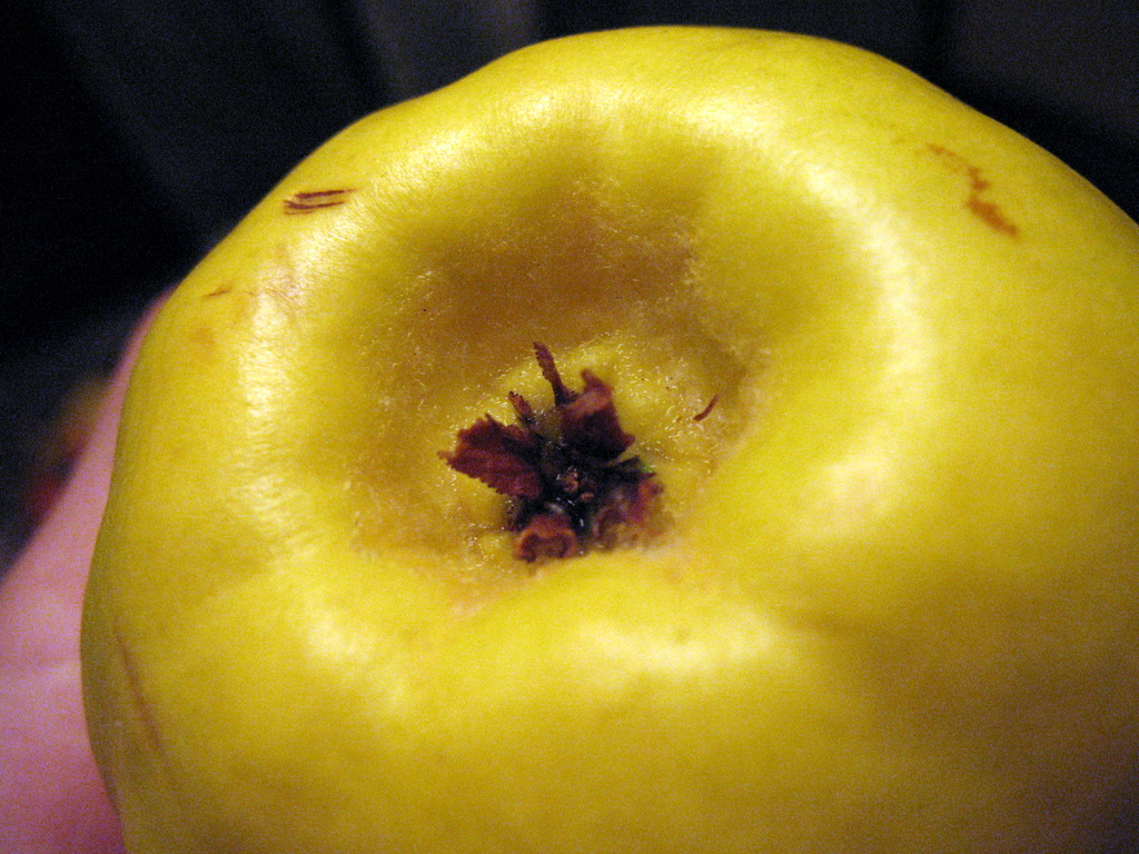 Spiced Fig and Quince Flaugnarde