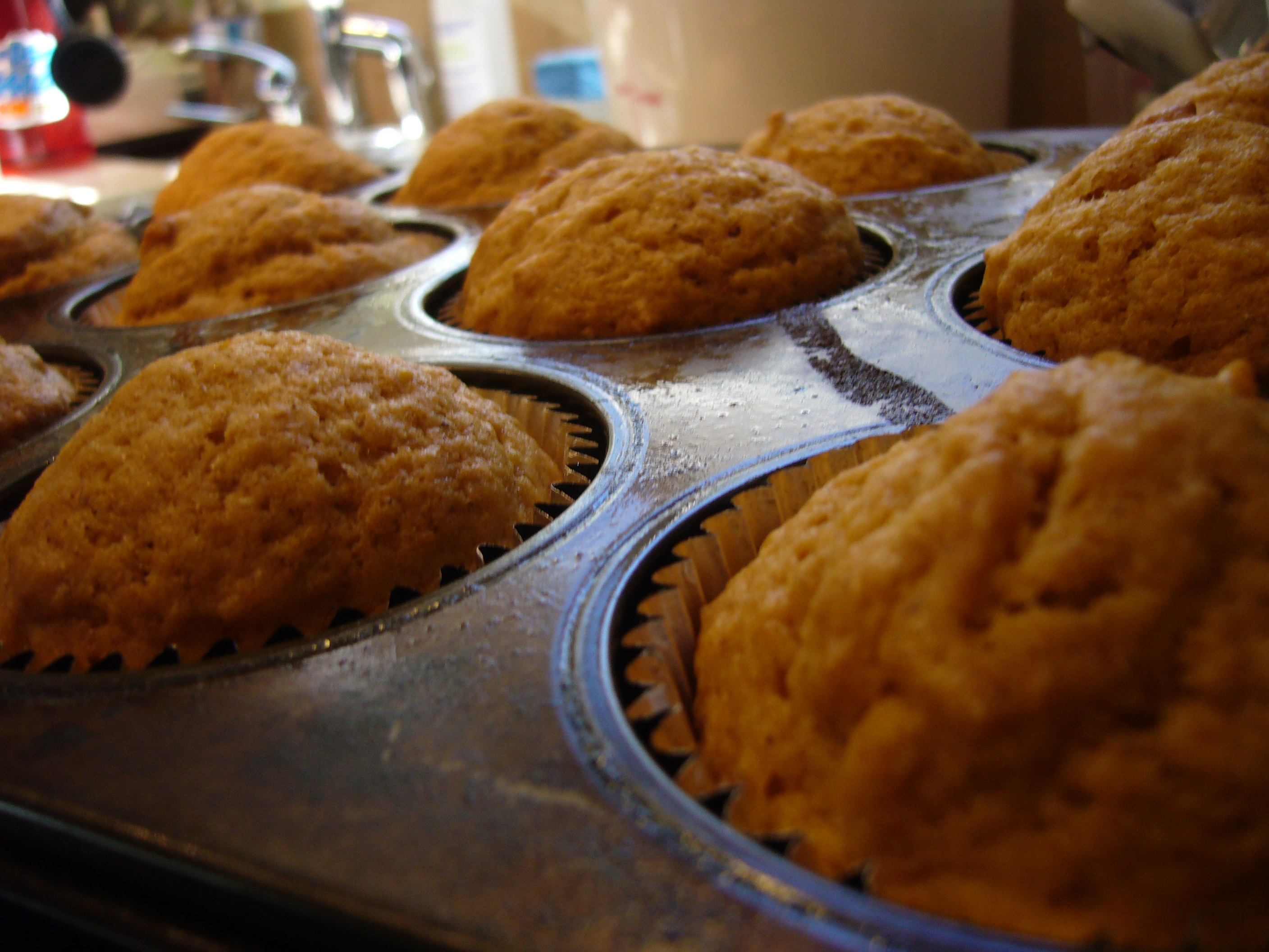 Pumpkin Cupcakes with Goat Cheese Frosting