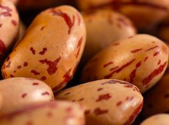 Cranberry Blood Red Orange, Red Lentils, and Red Bhutanese Rice