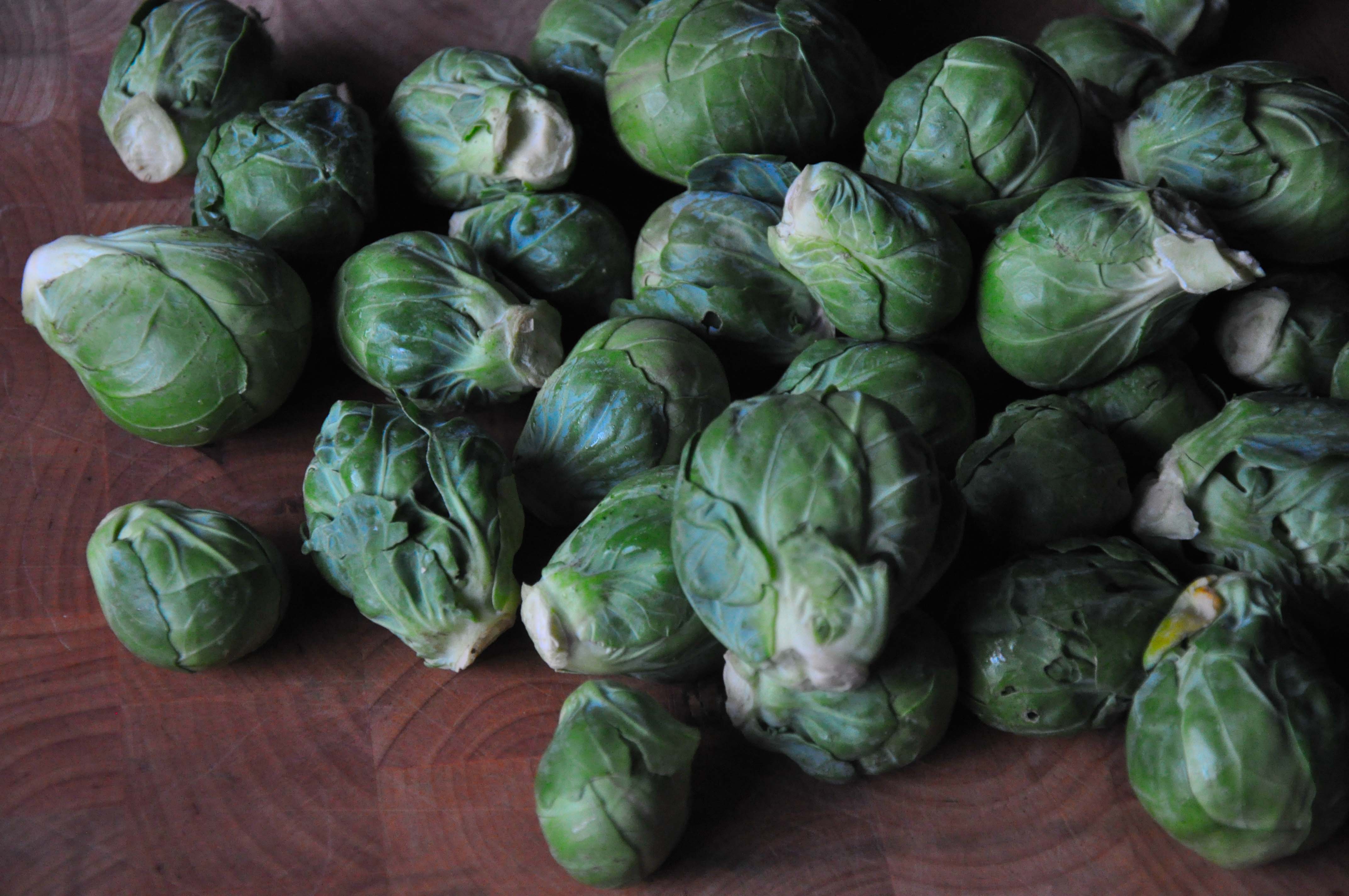 Golden Brussels Sprouts with Lemony Persillade