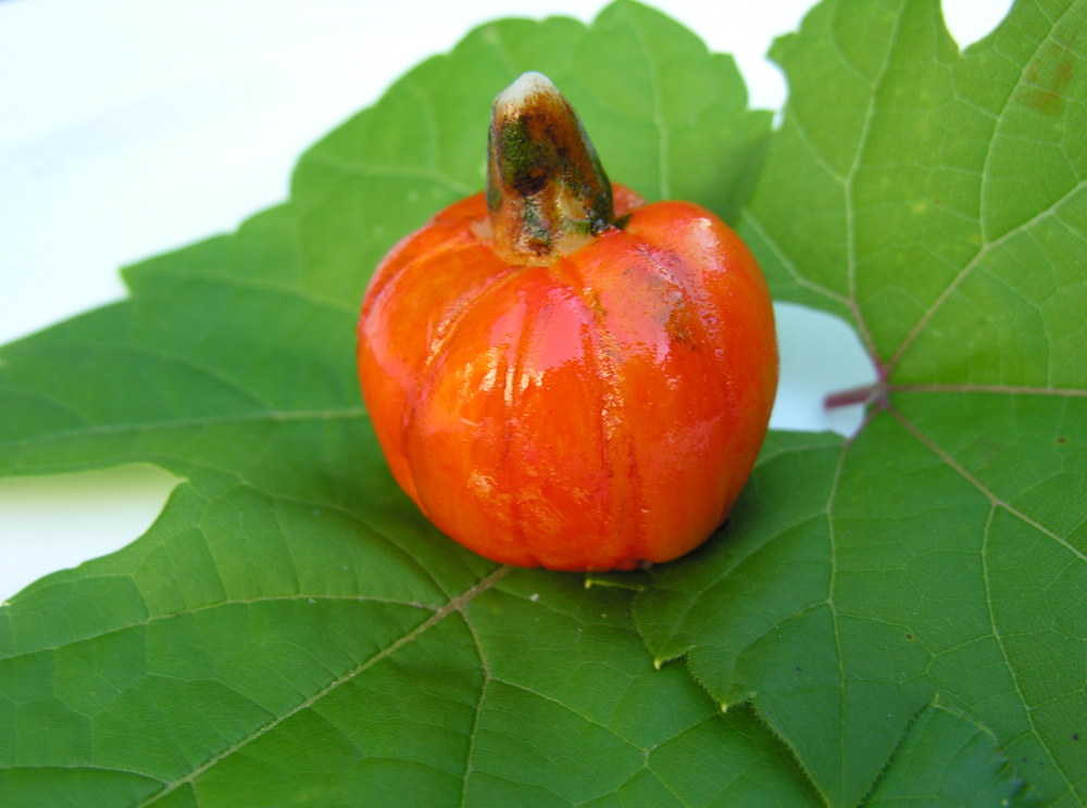 Pumpkin marzipan