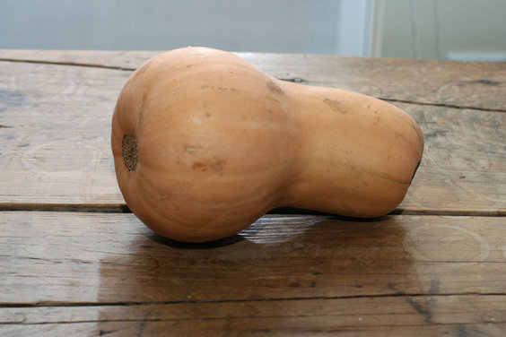 Butternutsquash