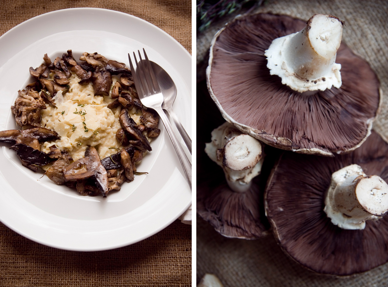 Wild Mushroom Risotto