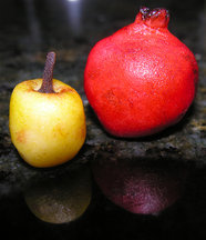 Pumpkin marzipan