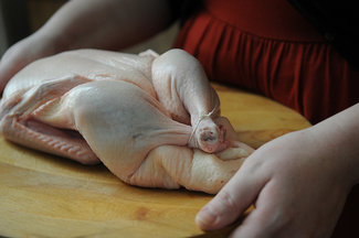 Ginger Duck