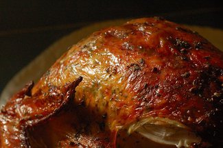Turkey2