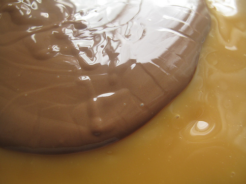 Salted Chocolate Caramel Shortbread