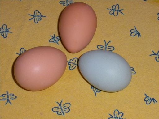 1st_green_egg