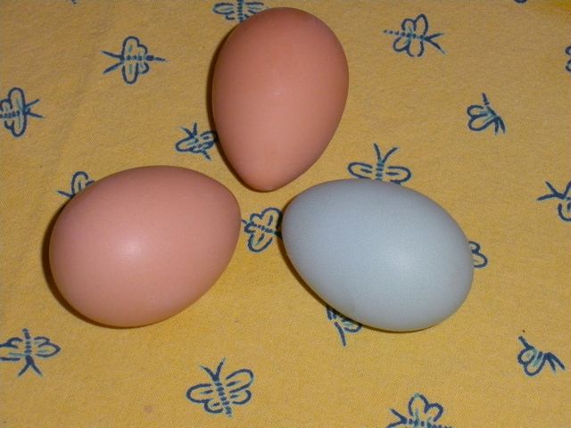 Huevos Rancheros