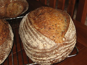 Sourdough & honey