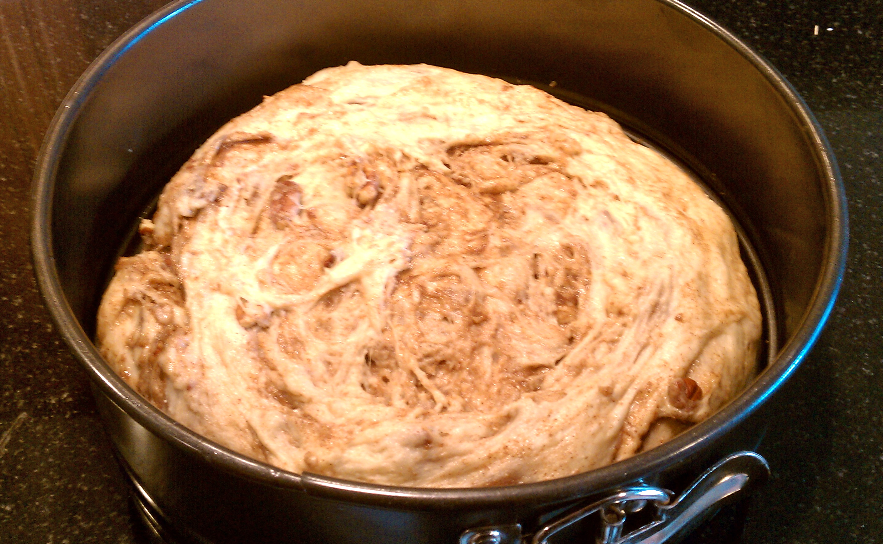 Spicy Chocolate- Pecan Coffee Cake