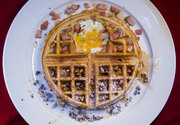 Waffletoad