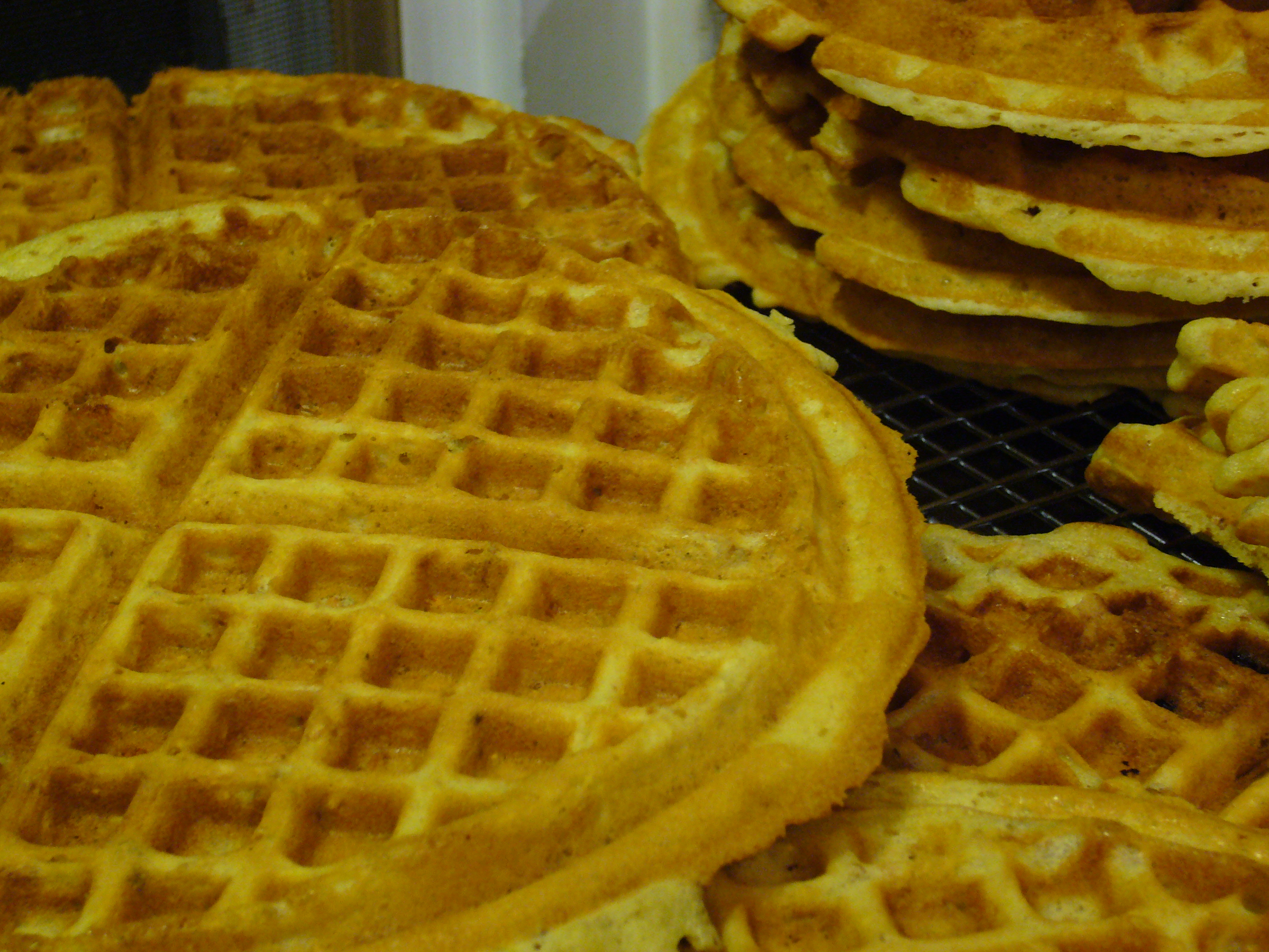 Plain Ol’ Waffles