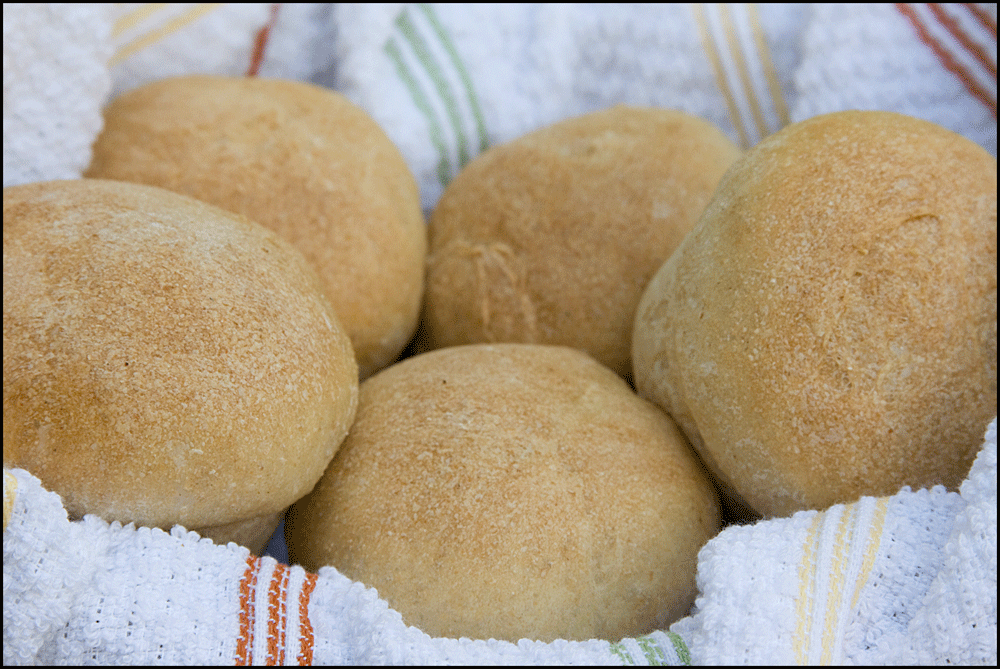 Whole Wheat Honey Rolls