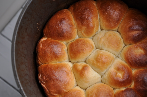 Sour Cream Dinner Rolls
