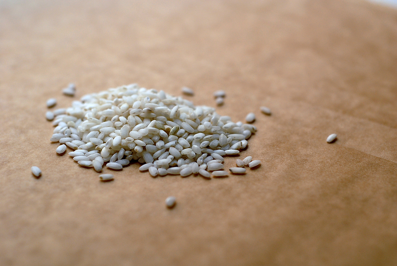 basic risotto