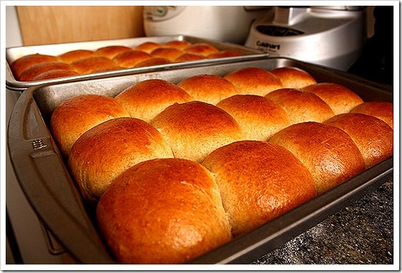 Rolls_lead