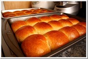 Rolls_lead