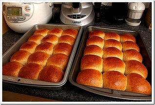 Soft pull-apart wheat rolls, with sourdough starter or active dry yeast