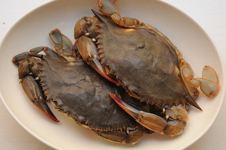 Crab Cakes