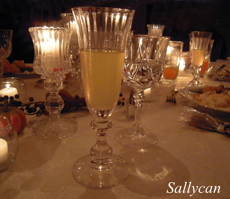 Indian Spiced Wine and Rum 