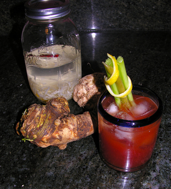 Horseradish Vodka Bloody Mary