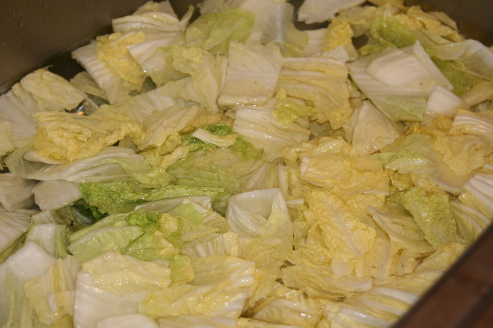 Cabbage Kimchi recipe on