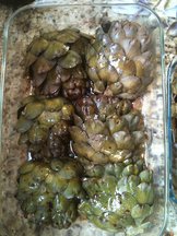 Aimees_iphone_pics_059
