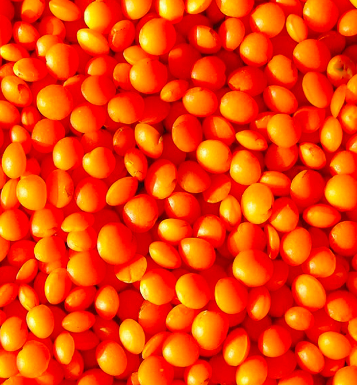 Cranberry Blood Red Orange, Red Lentils, and Red Bhutanese Rice