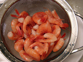 Maineshrimp