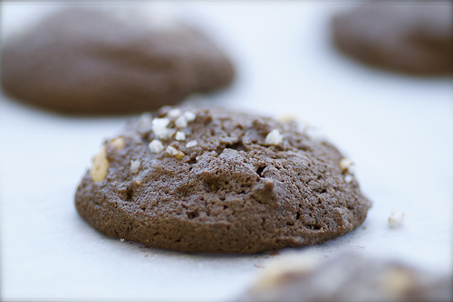 Salted Double Chocolate Peanut Butter Cookies