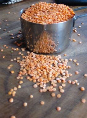 Dal