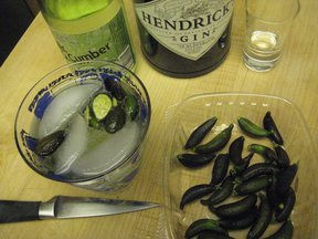 My best finger lime recipe