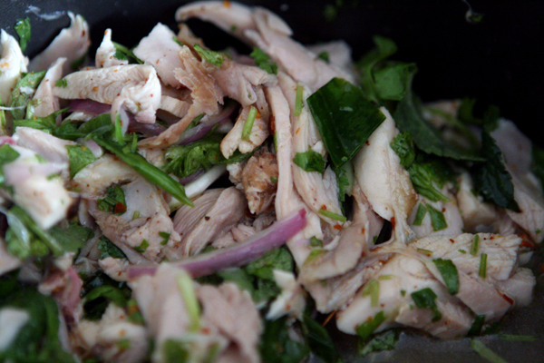 Thai Spicy Chicken Salad