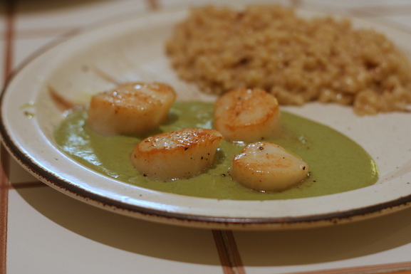 Seared Scallops with Spring Onion and Tarragon Cream