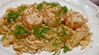 FENNEL AND ORZO WITH DAYBOAT SCALLOPS