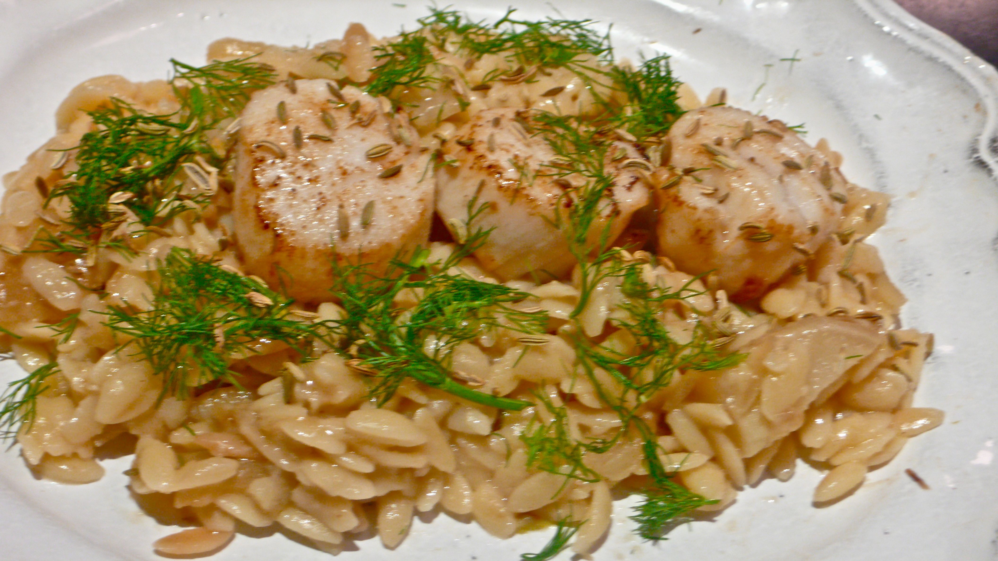 FENNEL AND ORZO WITH DAYBOAT SCALLOPS